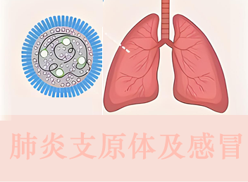 支原体肺炎和流感有什么不同？