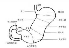 哪些人不能做胃镜检查？