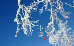 【节气养生】迎冬“小雪”至 养生要须知