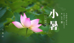 小暑节气避暑防病保健