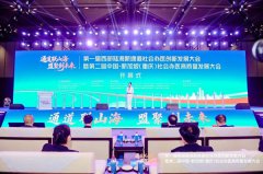 四川现代医院荣获西部陆海新通道社会办医行业联盟 “标杆医院” 授牌