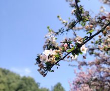 “春捂”重点“捂”哪里?